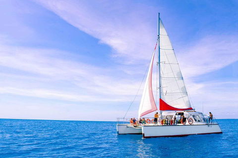 Full-Day Great Barrier Reef Sailing Trip - Whitsundays Accommodation 4