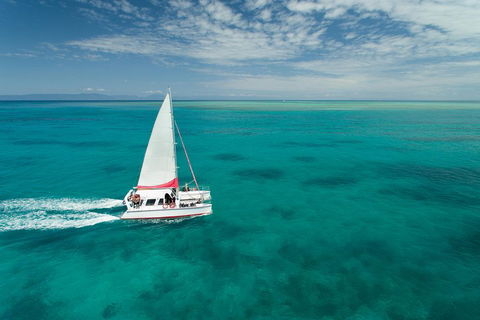 Full-Day Great Barrier Reef Sailing Trip - Whitsundays Accommodation 5