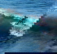 Great Ocean Road Highlights Tour - 2 Days 1 Night - Whitsundays Accommodation