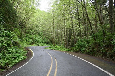 Great Ocean Road Highlights Tour - 2 Days, 1 Night - Whitsundays Accommodation 4