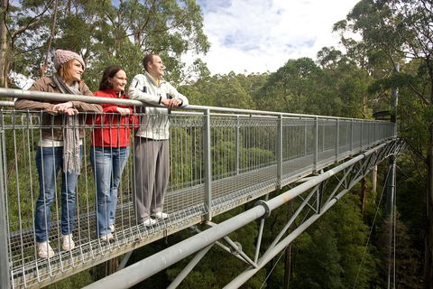 Adventure Sunset Three Day Great Ocean Road Tour - Whitsundays Accommodation 0