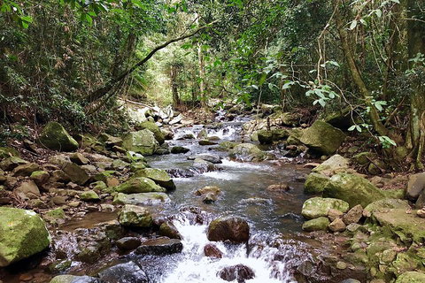 Exclusive Private Tour - Design Your Own - Whitsundays Accommodation 1