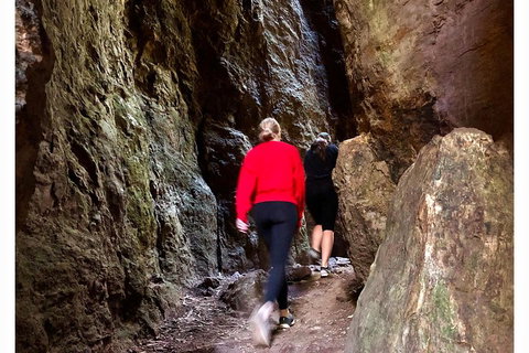 Exclusive Private Tour - Design Your Own - Whitsundays Accommodation 4