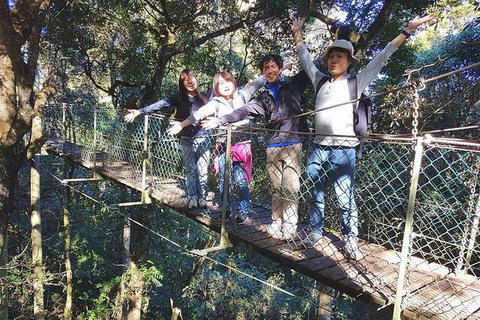 Exclusive Private Tour - Design Your Own - Whitsundays Accommodation 5