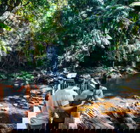 Aquaduck  Your choice of Gold Coast Rainforest Tour - Whitsundays Accommodation