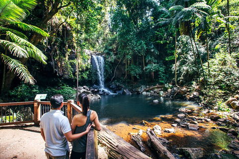 Aquaduck & Your Choice Of Gold Coast Rainforest Tour - Whitsundays Accommodation 0