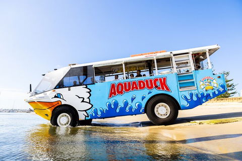 Aquaduck & Your Choice Of Gold Coast Rainforest Tour - Whitsundays Accommodation 3
