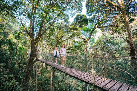 Aquaduck & Your Choice Of Gold Coast Rainforest Tour - Whitsundays Accommodation 4
