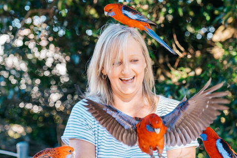 Aquaduck & Your Choice Of Gold Coast Rainforest Tour - Whitsundays Accommodation 5