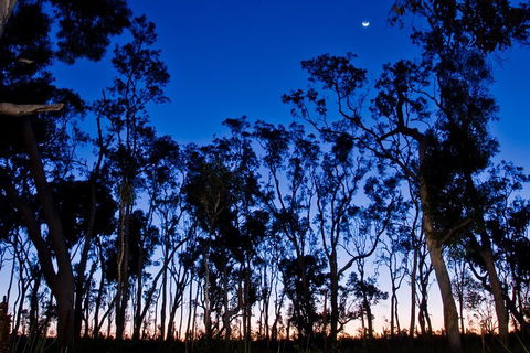 Small-Group Kangaroo Island 4WD Night Tour - Whitsundays Accommodation 2