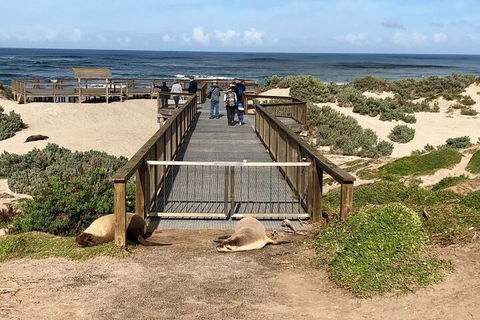 Kangaroo Island 4WD Tour - Best Of KI - Whitsundays Accommodation 2