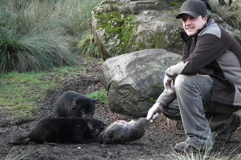 After Dark Tasmanian Devil Feeding Tour At Cradle Mountain - Whitsundays Accommodation 2