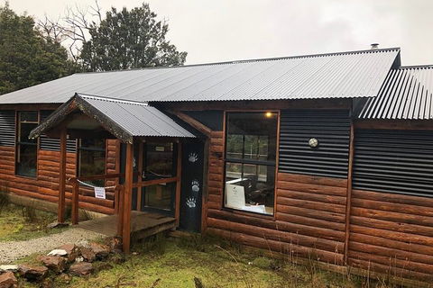 After Dark Tasmanian Devil Feeding Tour At Cradle Mountain - Whitsundays Accommodation 3