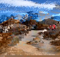 The Big Wave Rock Private Day Tour - Whitsundays Accommodation
