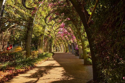 Brisbane Scavenger Hunt: Brisbane's South Bank! - Whitsundays Accommodation 3