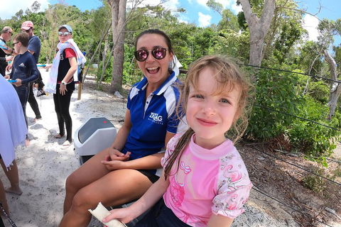 Whitehaven Beach Day Tour With Snorkel In Whitsundays Island - Whitsundays Accommodation 1