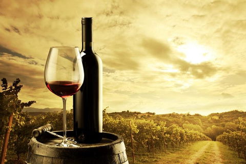 Barossa Valley Cellar Doors Luxury Wine Tour - Whitsundays Accommodation 0