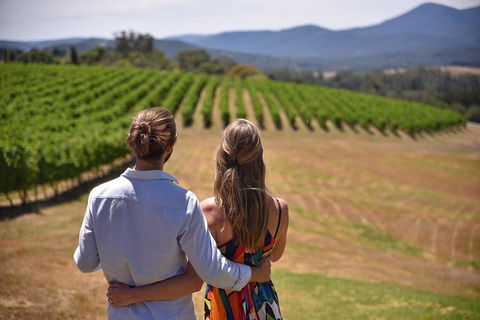Yarra Valley Wine, Bubbles And Gin Tour! - Whitsundays Accommodation 4