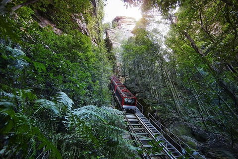 Private All Blue Mountains Day Tour - Whitsundays Accommodation 3