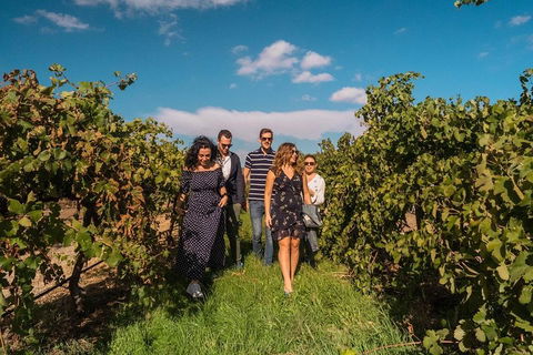 Barossa Valley Private Tour (from 2 To 11 People) - Whitsundays Accommodation 0