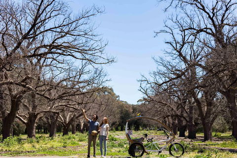 Adelaide 90-Minute Pedicab Tour: Scenic Green & River Experience - Whitsundays Accommodation 1