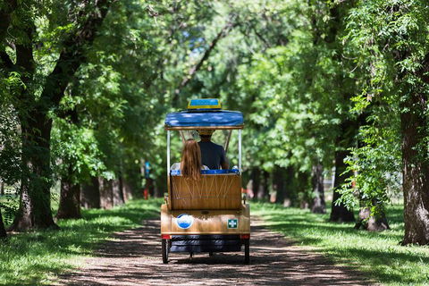 Adelaide 90-Minute Pedicab Tour: Scenic Green & River Experience - Whitsundays Accommodation 2