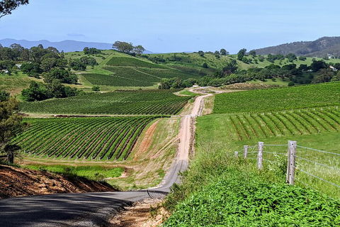 The Complete Hunter Valley Wine Tour Of Pokolbin, Mt View, Lovedale And Rothbury - Whitsundays Accommodation 0