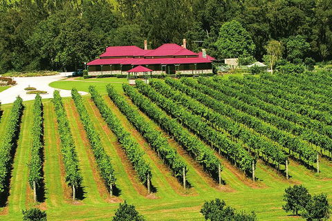 O'Reilly's & Lamington National Park From Brisbane - Whitsundays Accommodation 2