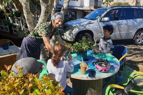 O'Reilly's & Lamington National Park From Brisbane - Whitsundays Accommodation 3