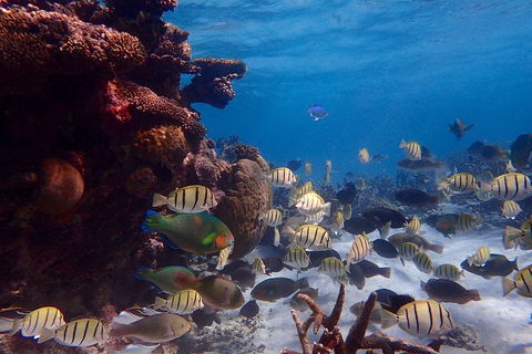 Lagoon Explorer - Ningaloo Reef Full-Day Kayaking And Snorkeling Adventure - Whitsundays Accommodation 2