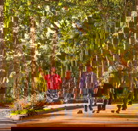 Darwin City Sights and Jumping Crocodile Cruise - Whitsundays Accommodation