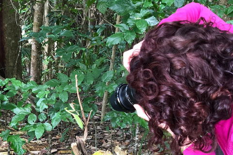 Let's Go Buggin & Let's Go Shroomin - Photography & Nature Walking Tours - Whitsundays Accommodation 1