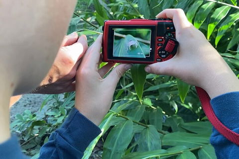 Let's Go Buggin & Let's Go Shroomin - Photography & Nature Walking Tours - Whitsundays Accommodation 2