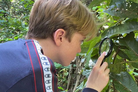 Let's Go Buggin & Let's Go Shroomin - Photography & Nature Walking Tours - Whitsundays Accommodation 3