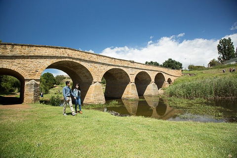 Bonorong Wildlife Park And Richmond Afternoon Tour From Hobart - Whitsundays Accommodation 0