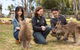 Bonorong Wildlife Park And Richmond Afternoon Tour From Hobart - thumb 1