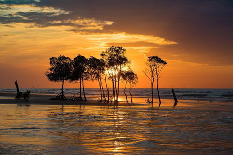 Delightful Darwin Self-Guided Audio Tour - Whitsundays Accommodation 3