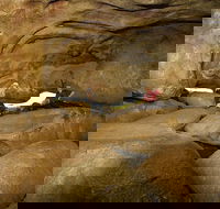 2-Day Wave Rock York Wildflowers  Aboriginal Experience - Whitsundays Accommodation