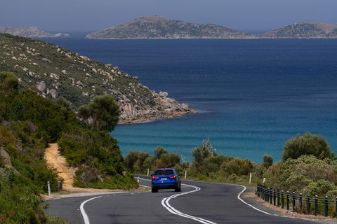 Wilson's Promontory Small Group Eco Tour From Melbourne - Whitsundays Accommodation 5