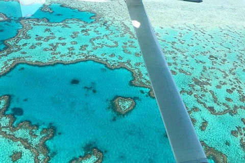 Whitsunday Islands 1-Hour Reef Scenic Helicopter Tour - Whitsundays Accommodation 3