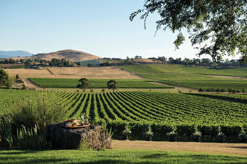 Small Group 6 Guests: Ultimate Yarra Valley Food And Wine - Mercedes Van - Whitsundays Accommodation 4