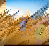 Full-Day Pinnacles Desert and Yanchep National Park Tour From Perth - Whitsundays Accommodation