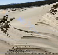 Port Stephens Bush Beach and Sand Dune 4WD Tag-Along Tour - Whitsundays Accommodation