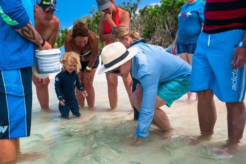 Whitehaven Beach And Hamilton Island Cruise - Whitsundays Accommodation 1