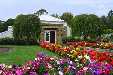 Hobart City Sightseeing Tour Including MONA Admission - Whitsundays Accommodation 0