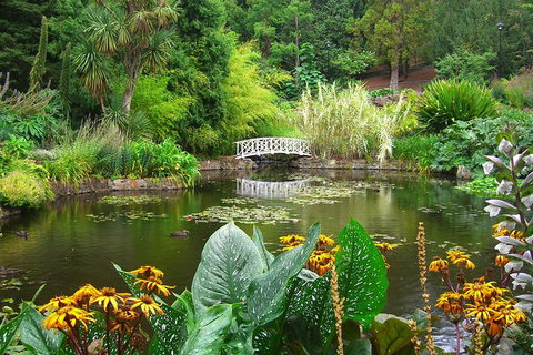 Hobart City Sightseeing Tour Including MONA Admission - Whitsundays Accommodation 3