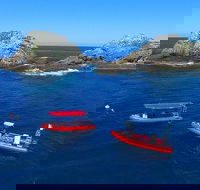 3-Hour Byron Bay Certified Scuba Diving Tour - Whitsundays Accommodation