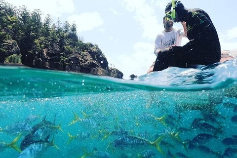 2 Night Small Group Whitsundays Sailing Adventure Aboard Mandrake - Whitsundays Accommodation 5