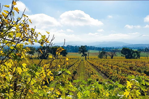 Yarra Valley Wine & Food Tour Departing From Melbourne - Whitsundays Accommodation 4
