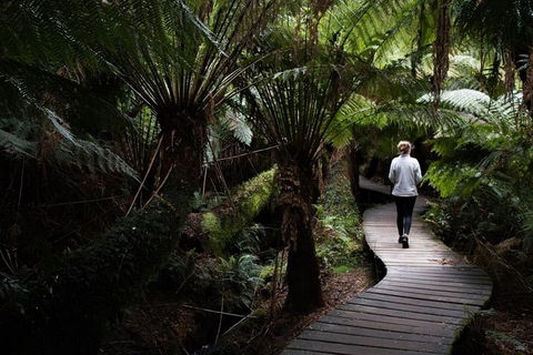 Private Tour Of Melbourne - Whitsundays Accommodation 2